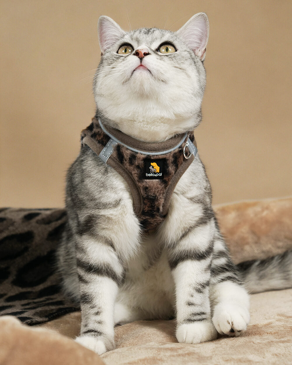 OxyMesh Velcro Step-in Harness Set - Wild Brown Leopard