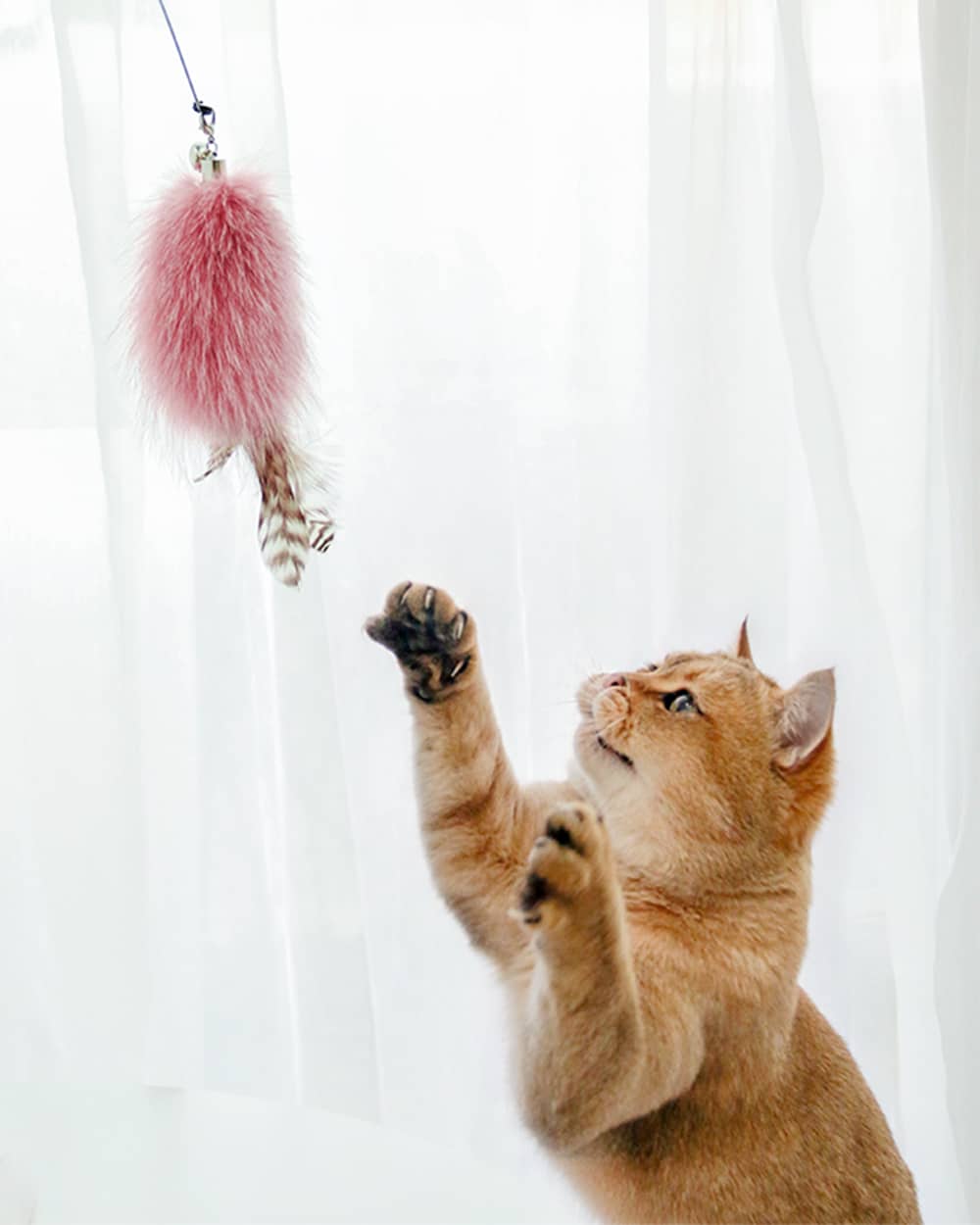 Ideal for indoor play, this cat teaser wand with feathers, a pompom, and bell sparks your cat’s natural hunting behaviors, making it a perfect toy for exercise and fun.