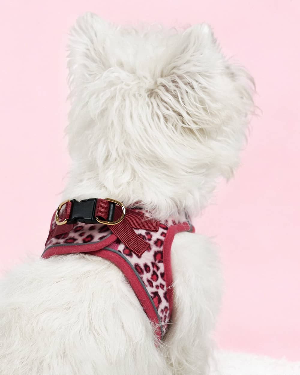 OxyMesh Velcro Step-in Harness Set - Phantom Pink Leopard