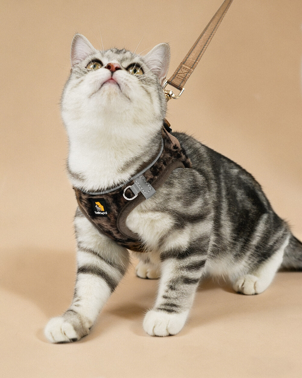 OxyMesh Velcro Step-in Harness Set - Wild Brown Leopard