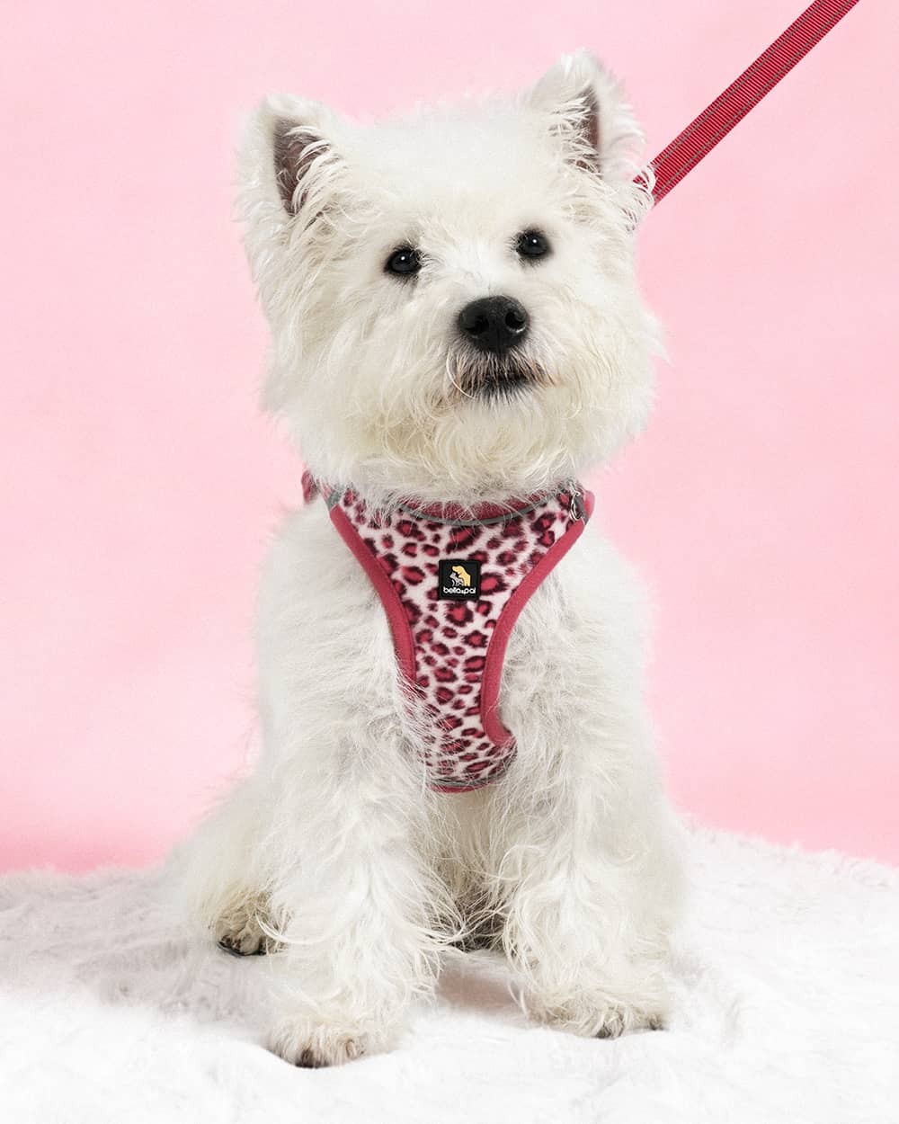 OxyMesh Velcro Step-in Harness Set - Phantom Pink Leopard