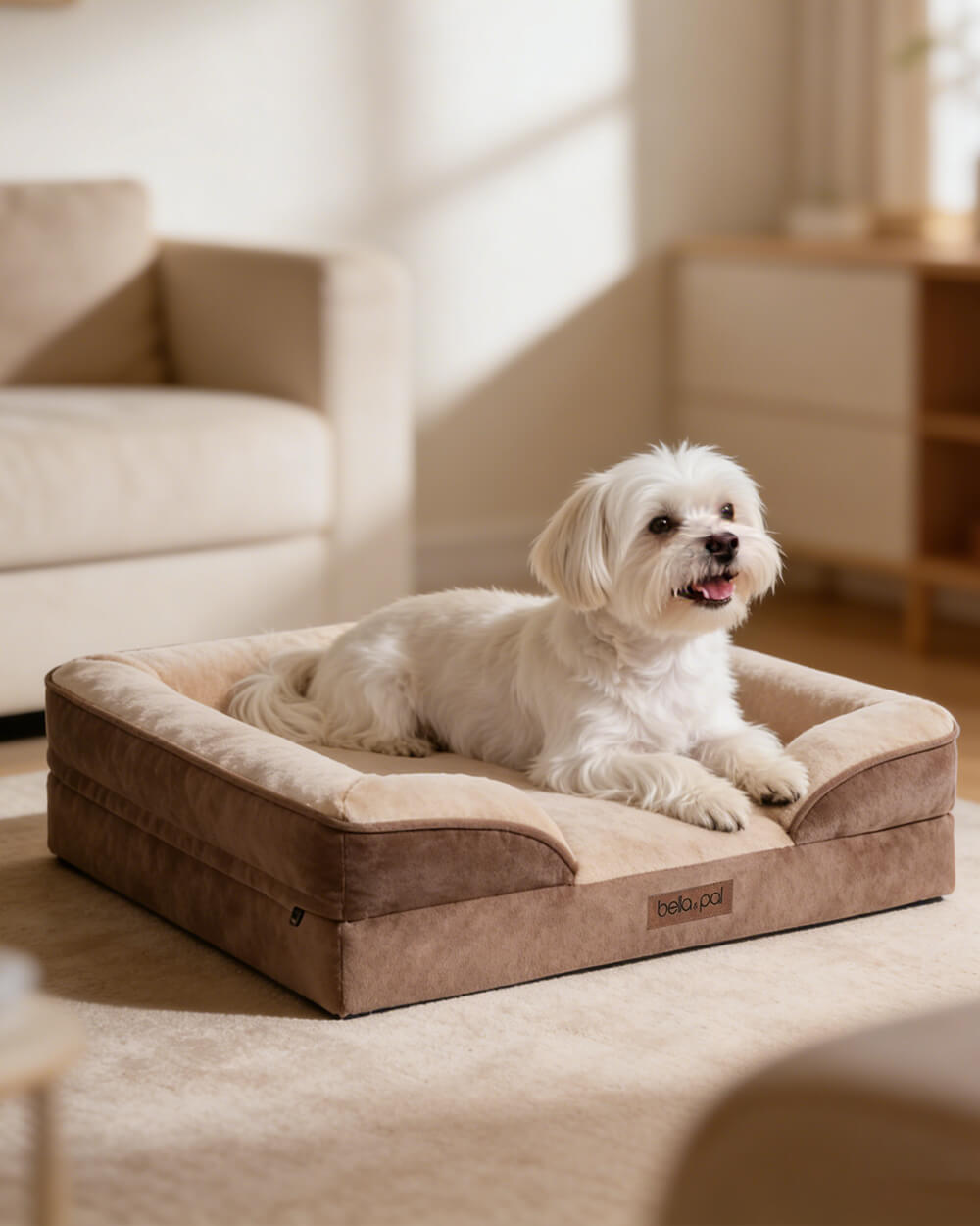 Orthopedic Dog Bed - Soft Mocha