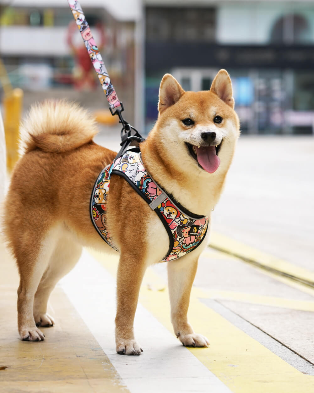 Bella & Pal × PJai & Friends 聯乘款OxyMesh胸背帶連牽繩套裝-朋友仔