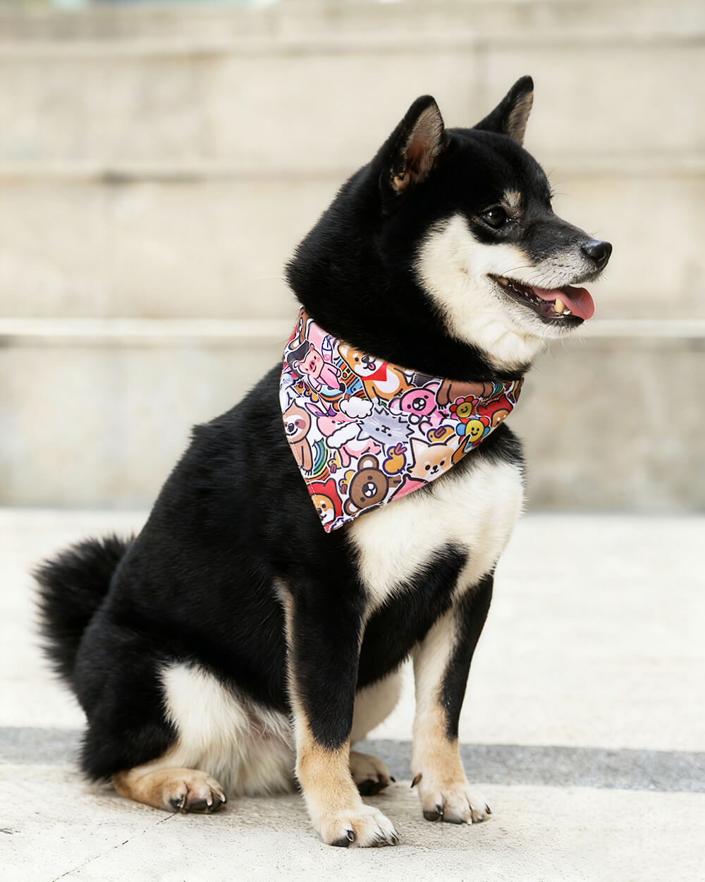 Bella & Pal × PJai & Friends Triangle Dog Bandana - Carnival