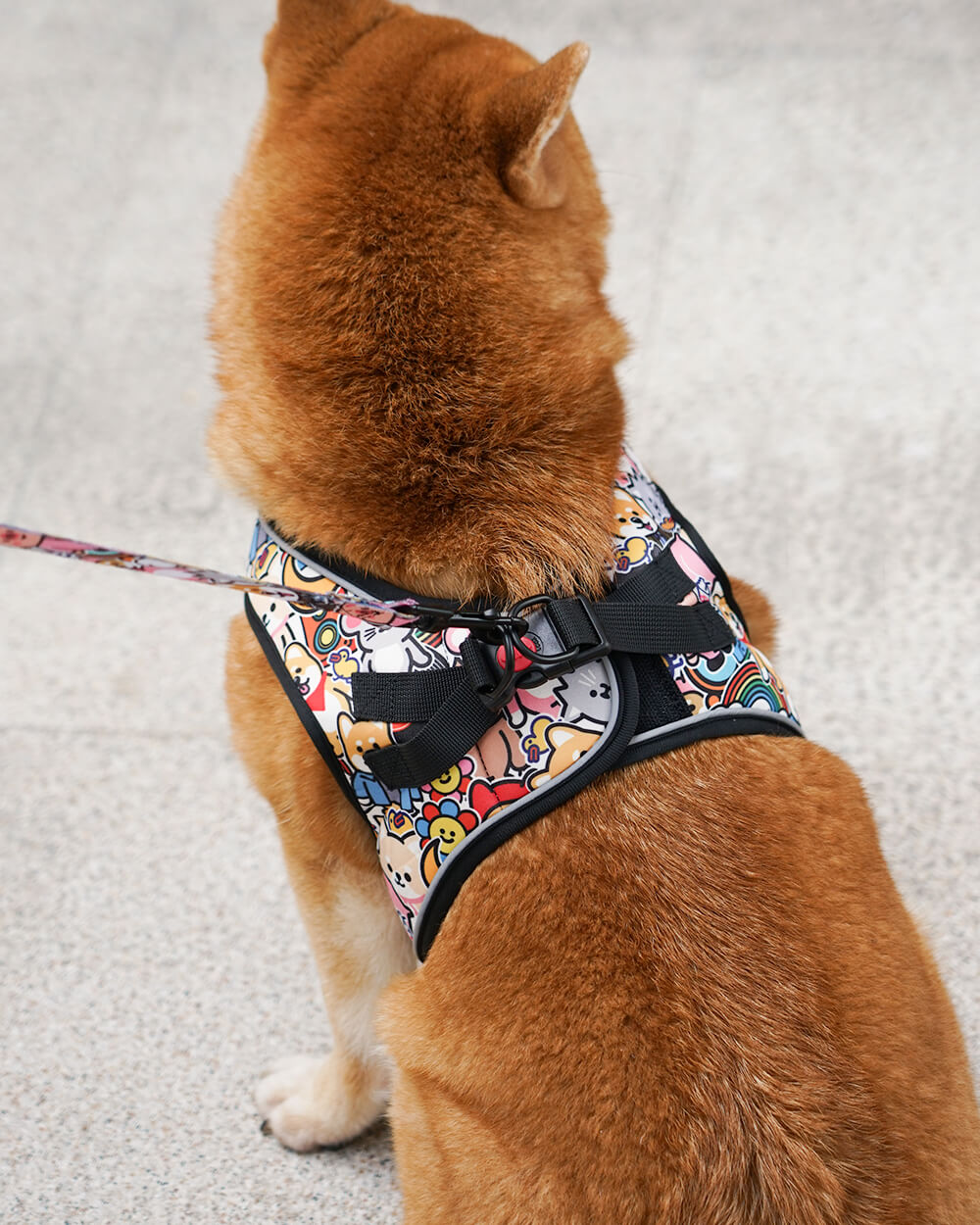 Bella & Pal × PJai & Friends 聯乘款OxyMesh胸背帶連牽繩套裝-朋友仔